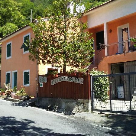 Casa Vacanze L'Agrifoglio Bed and Breakfast Magliolo Buitenkant foto
